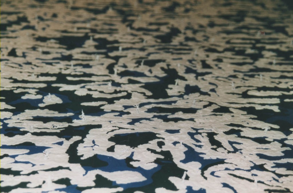 Mecanismes de defensa / Defense&nbsp;mechanisms